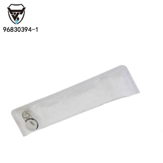 96830394 Gasoline Pump Filter for Chevrolet