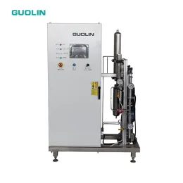 ozone generator for swimming pool water treatment