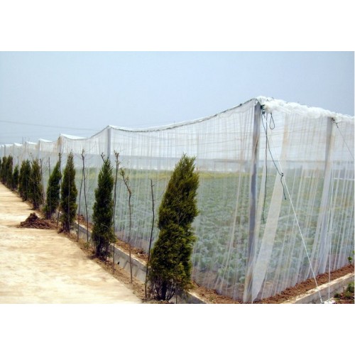 high quality anti insect net