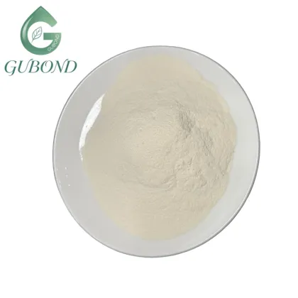 Lactobacillus acidophilus 10 Billion CFU Probiotic Powder