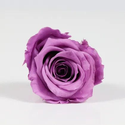 Kunming Freeze Dried Roses 4-5cm Flower Heads
