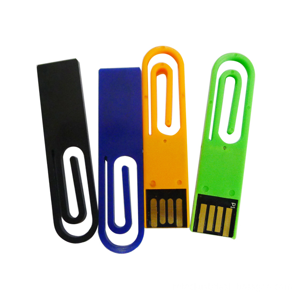 Professional USB Flash Drive