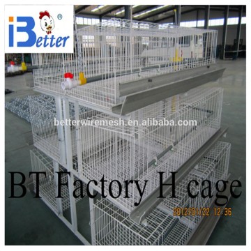 BETTER FACTORY direct supply automatic chicken cage, battery cage, broiler chicken cage for kenya farm( factory price)