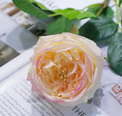 Hot Sale Summer Flowers: Artificial Austin Roses for Wedding Decor