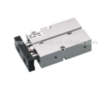 TN series Dual Rod cylinders with magnet