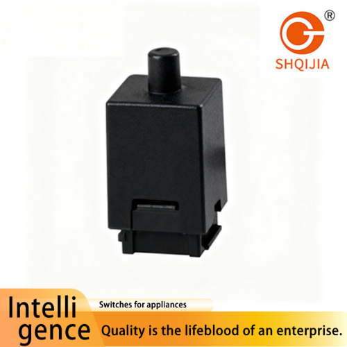 Interruptor de botón a prueba de polvo SHQIJIA P10 6