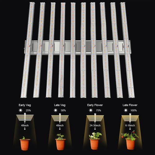 10 Bar Grow Light Lm301H 6500K