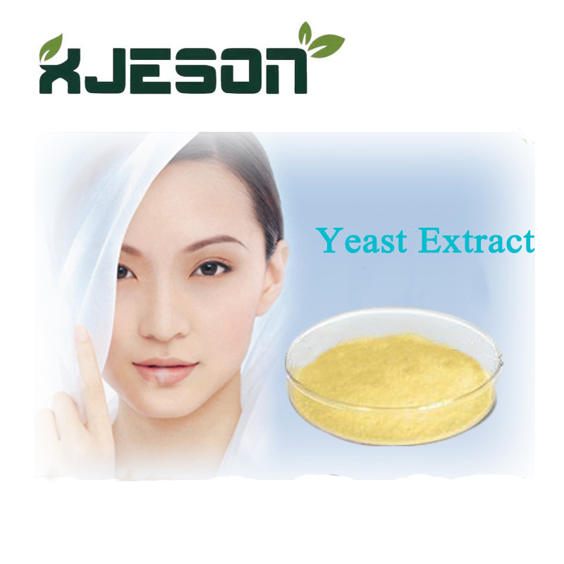 100 Natural Yeast Extract Industrial Fermentation