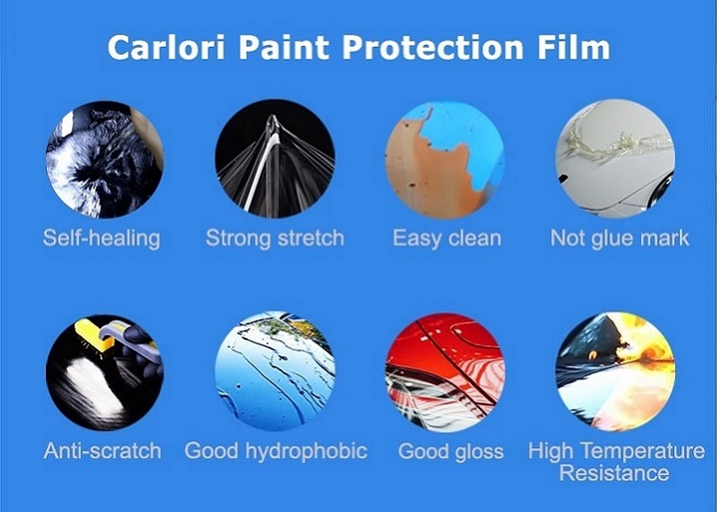 New Car Paint Protection Near Me