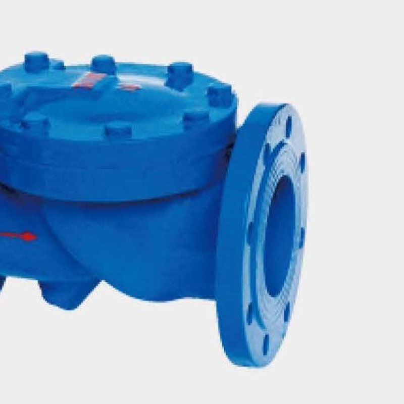 H44x Sfcv Rubber Disc Check Valve