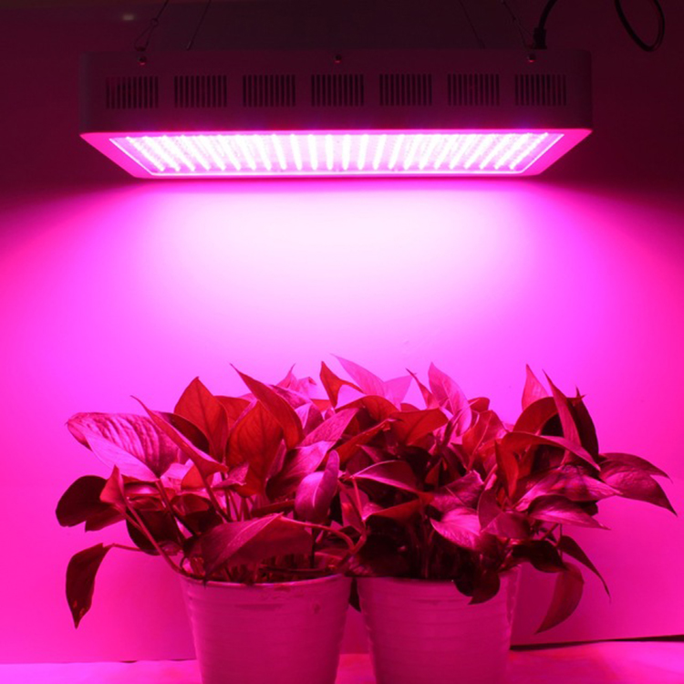 LED Plant Grow Light