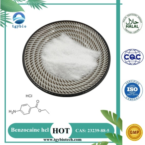 China High Quality 99% Benzocaine Hydrochloride Powder Factory