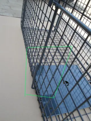 Humane Possum Cage Live Animal Safe Catch