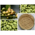 suministro extracto de grano de café de ácido clorogénico