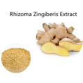 Buy online Rhizoma Zingiberis Extract powder