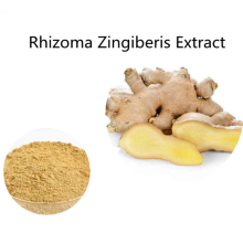 Buy online Rhizoma Zingiberis Extract powder