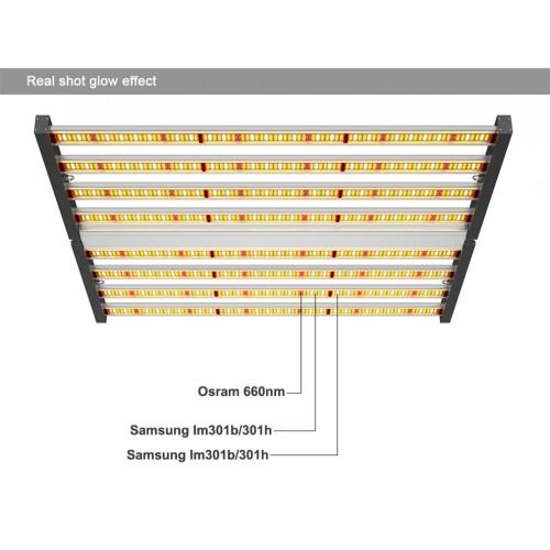 Hydroponics Farm 640W Grow Luminária Fluence Style