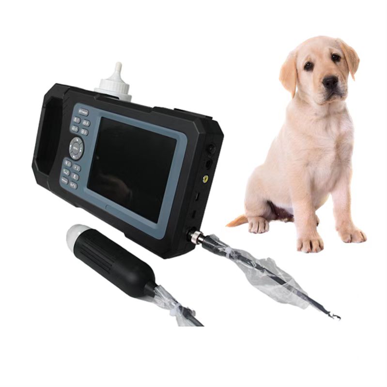 Waterproof Function Handheld Veterinary Ultrasound Equipment