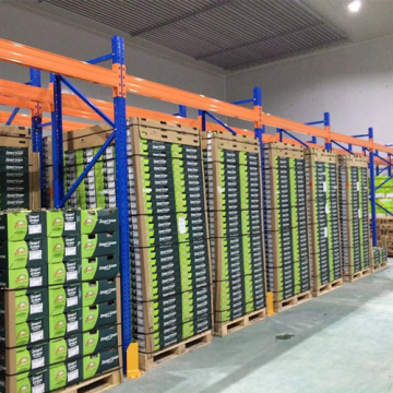 Fresh fruits and vegetables cold storage