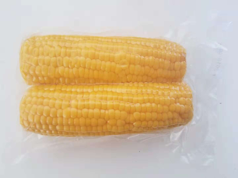 Corn Belt