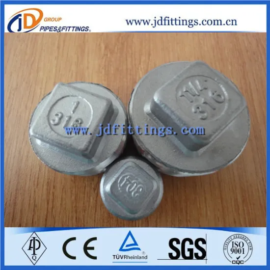 Ss316 Stainless Steel Pipe Threaded Square Plug
