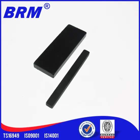 Rare Earth and Ferrite Injection Magnet
