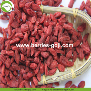 Factory Fruits Premium Cooking Soup Goji Berry