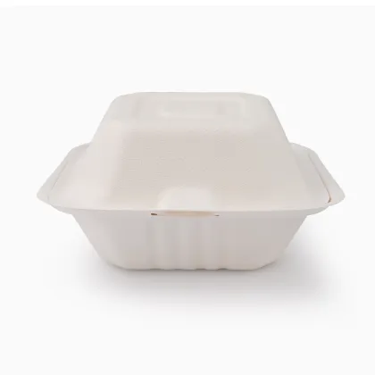 Biodegradable outdoor biodegradable food tray paper