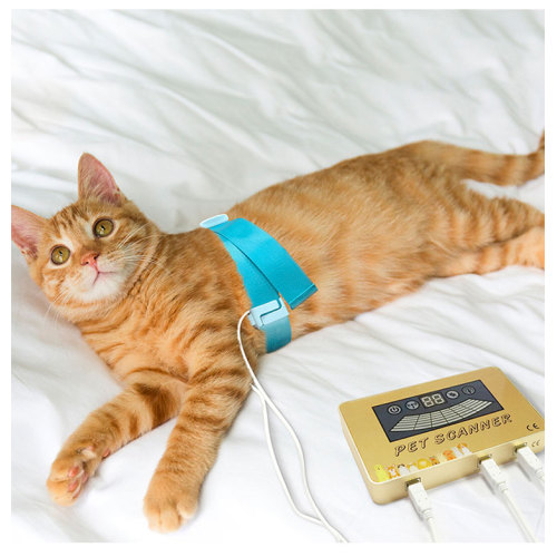 Bio quantum resonance magnetic analyzer dog & cat
