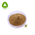 Honegsukle Flower Extract Powder 10: 1