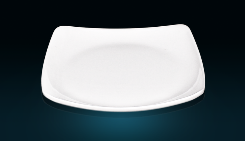 Hot Selling High Quality 10 Inch Melamine Plate