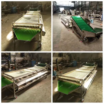 Fruit and Vegetable Sorting and Grading Machine