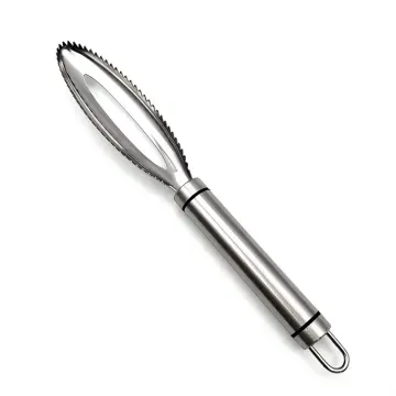 Best Selling Food-Grade Stainless Steel Fish Scale Scraper: A Reliable Cleaning Tool for Fishermen and Home Cooks