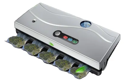 DZ-320B Small Plastic Meat Merida Vacuum Packing Machine