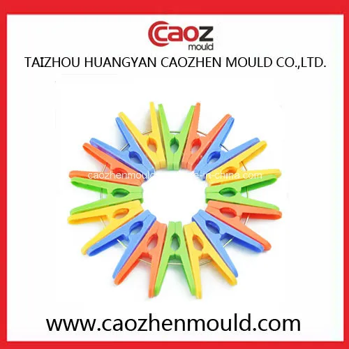 Unique Design Plastic Clothes-Peg Mould in China