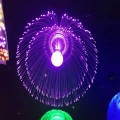 jellyfish led decoration fibre light
