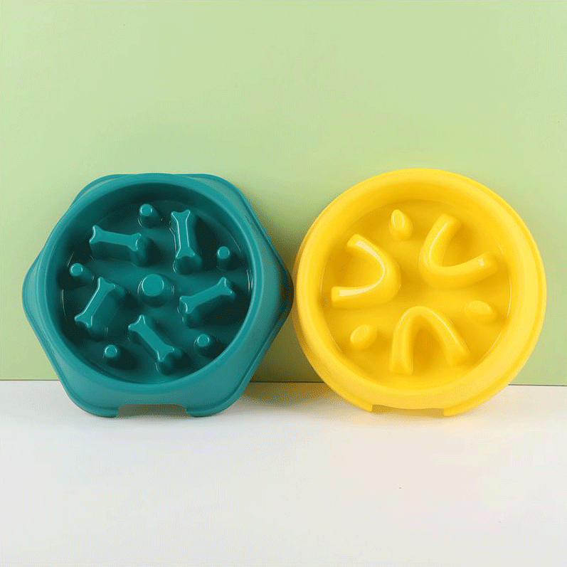 স্বাস্থ্যকর খাওয়ার জন্য পোষা স্লো ফুড বোল