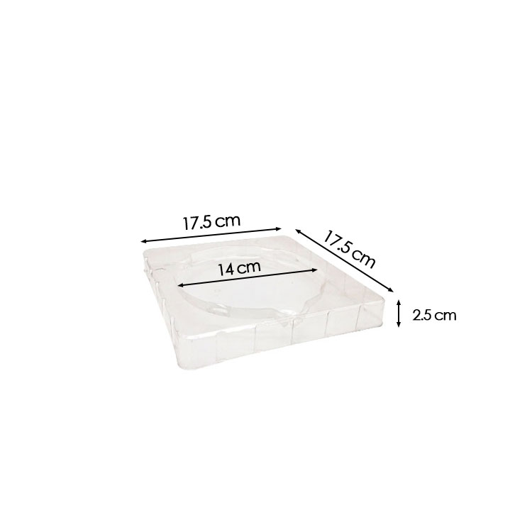 OEM durable clear pvc blister packaging inner tray