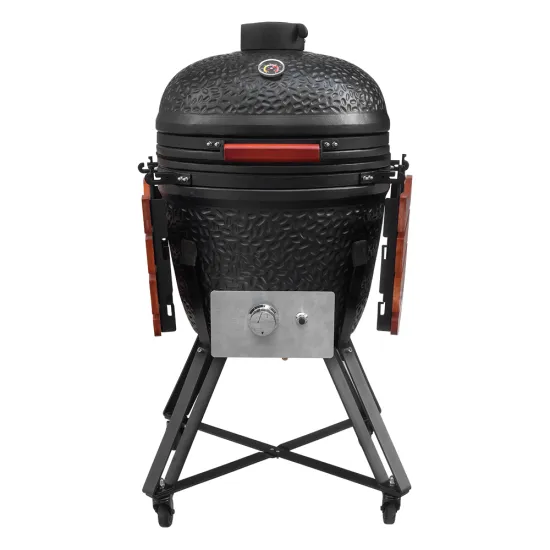 SEB KAMADO New Design 22 Inch BBQ Gas and charcoal grill  for Outdoor Kitchen Home and Garden