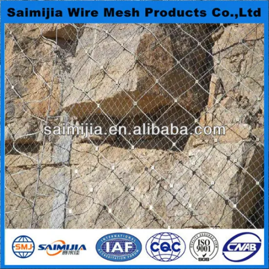 Wire mesh for slope protection supplyer in China