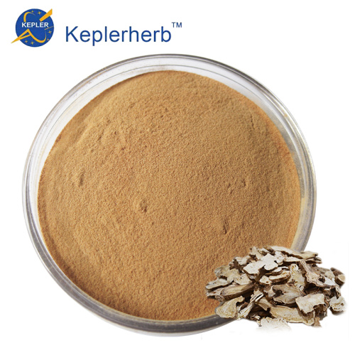 Atractylodes Macrocephala Extract Powder