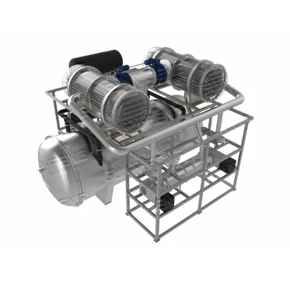 Blueberry Vacuum Fruit Freeze Dryer