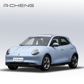 China EV Ora Solar Car: Long-Range Electric Vehicles at Low Prices - Direct Supply