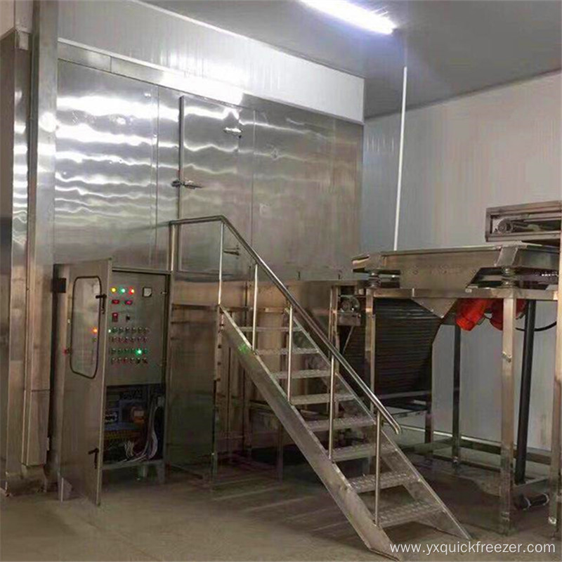 Fluidized Tunnel Quick Freezer for Berries Fruits