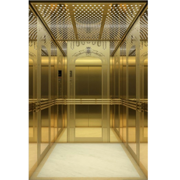 Certified 1000kg Passenger Elevator for Apartments and Commercial Buildings