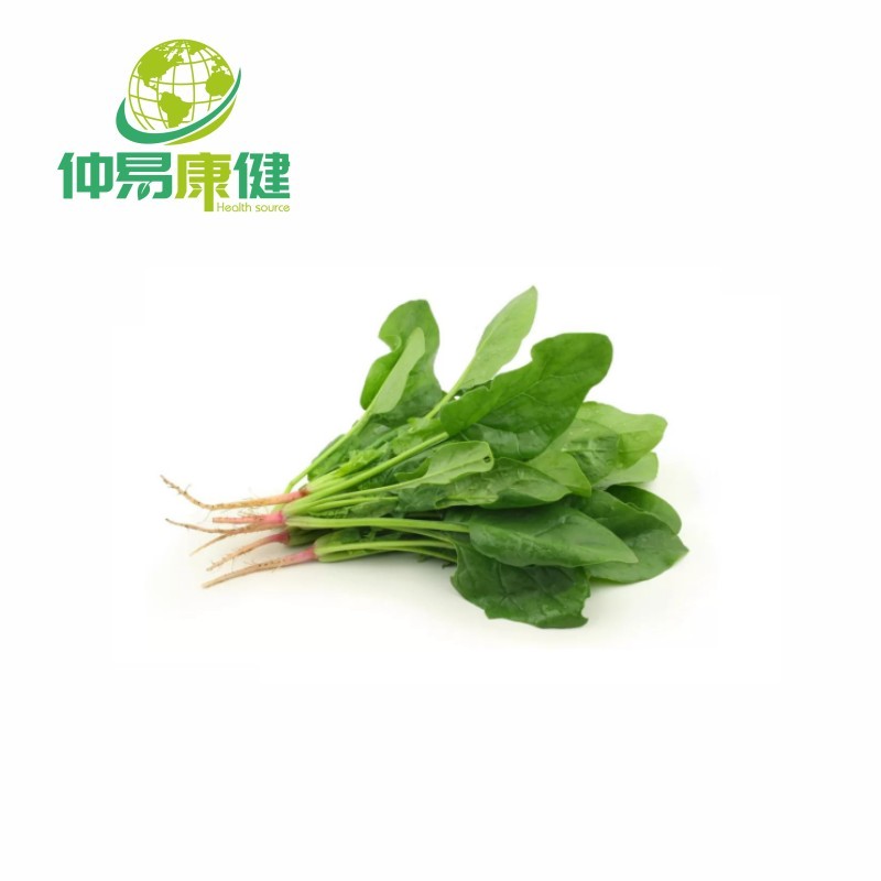 Bulk Organic Spinach Powder