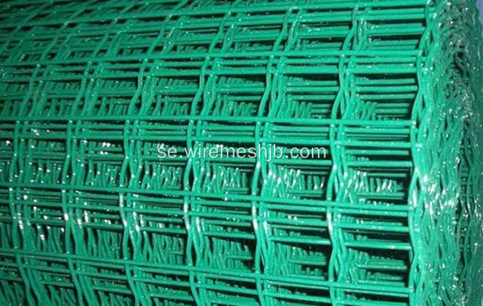 Holland Svetsad Wire Mesh