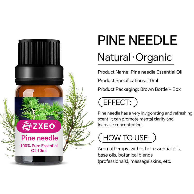 Pine Essential Oil Plant Bulk Pure Pure Natural Pinus Jarum Minyak Parfum Minyak Jarum Fir untuk Kosmetik
