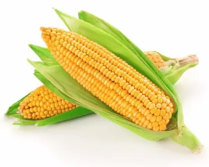 Anti-Aging Beta Sitosterone Corn Oil Extract 90% Phytosterol
