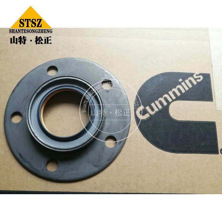 Cummins Spare Parts Oil Seal 3892020